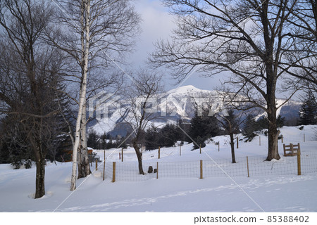 Winter snow scene in Hokkaido, Japan Winter snow scene in Hokkaido, Japan 85388402