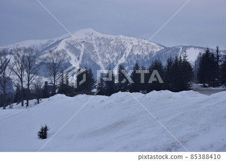 Winter snow scene in Hokkaido, Japan 85388410