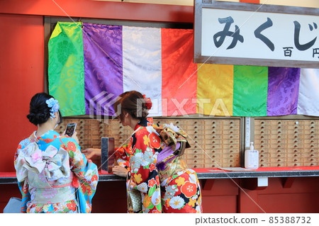 A woman with furisode that draws a fortune 85388732