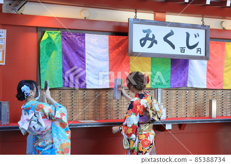 A woman with furisode that draws a fortune A woman with furisode that draws a fortune 85388734