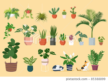 Set of different indoor houseplants. Flat illustration. Vector Set of different indoor houseplants. Flat illustration. Vector 85388899