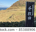 一千張 85388906