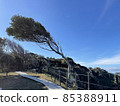 能登半島 85388911