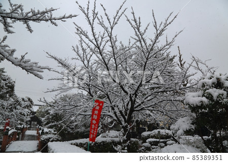 Kobo Daishi Temple: Enkyoji Temple in Winter, 7 (Kitagata Town, Motosu District, Gifu Prefecture) 85389351