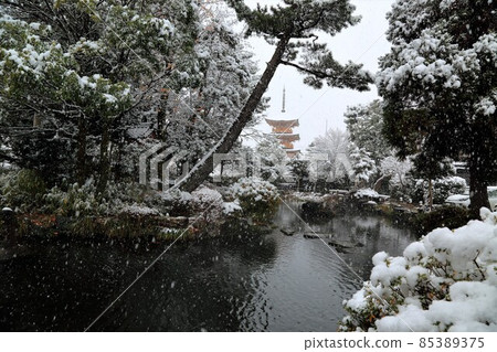 Kobo Daishi Temple: Enkyoji Temple in Winter, 29 (Kitagata Town, Motosu District, Gifu Prefecture) 85389375