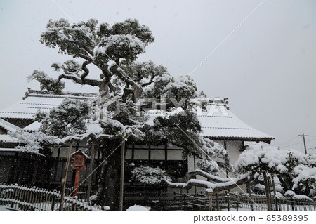 弘法大師：冬天的圓教寺 47（岐阜縣本棲區北形町） 85389395