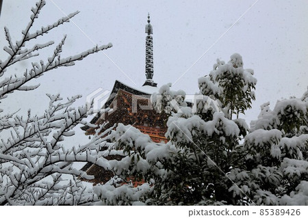 弘法大師:冬天的圓教寺74(岐阜縣本棲區北形町) 弘法大師:冬天的圓教寺74(岐阜縣本棲區北形町) 85389426