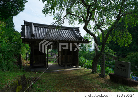 Saidoji Temple Niomon on a sunny morning in the rainy season Niimi City, Okayama Prefecture 85389524