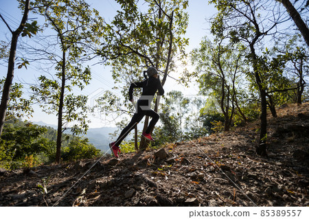 Fitness asian woman running on trail at sunrise tropical forest in winter 85389557