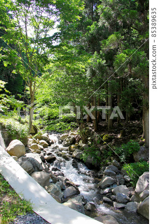 Tendaki 兵庫縣矢部市大谷町被選為日本百佳瀑布之一的著名瀑布。 Tendaki 兵庫縣矢部市大谷町被選為日本百佳瀑布之一的著名瀑布。 85389635