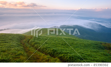 Shinshu Venus Line, the dawn of Mt. Miune 85390302