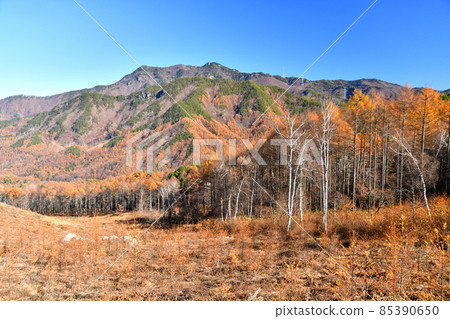 從立原高原（長野縣南相輝村）眺望小倉山和峰尾山 [2021.11] 85390650