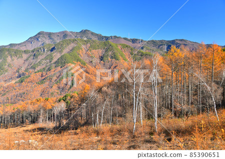 從立原高原（長野縣南相輝村）眺望小倉山和峰尾山 [2021.11] 85390651