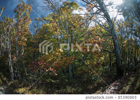 Hinatayama 14 Hinatayama 14 85390803