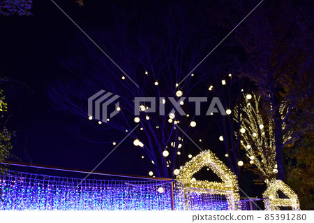 埼玉縣東松山市森林公園燈飾① 85391280