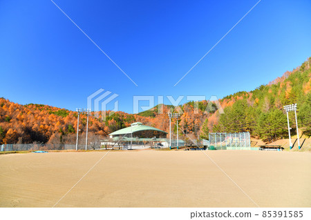 Around Kitaaiki Villagers Exchange Sports Center (Kitaaiki Village, Nagano Prefecture) [2021.11] 85391585