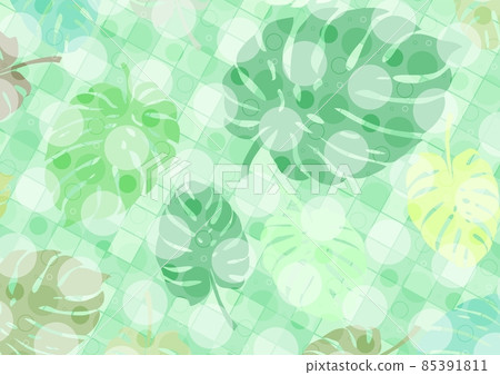 A white checkered background and circles with leaves of a plant called monstera as a base for designing your own works 85391811
