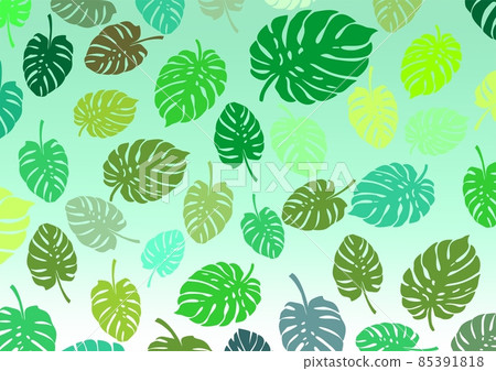 A leaf of a plant called monstera as a background to design your own work A leaf of a plant called monstera as a background to design your own work 85391818