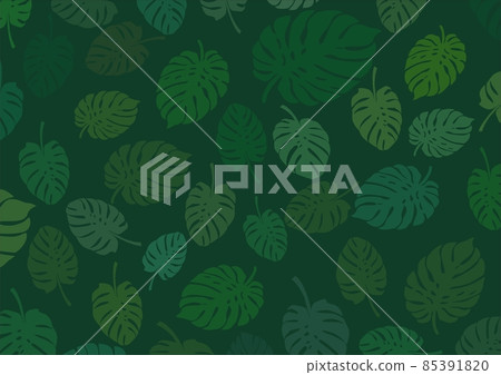 Dark green background with a leaf of a plant called monstera as a base for designing your own works 85391820
