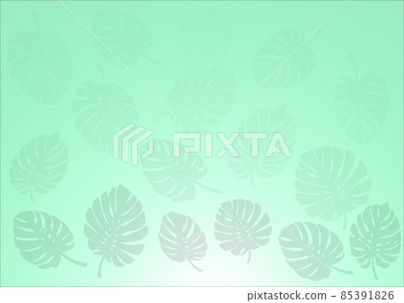 A leaf of a plant called monstera as a background to design your own work 85391826