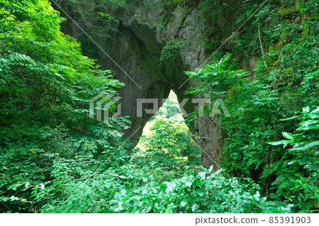 [National Natural Monument] Scenery of Rashomon during the rainy season 12 Niimi City, Okayama Prefecture 85391903
