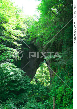 [National Natural Monument] Scenery of Rashomon during the rainy season 9 Niimi City, Okayama Prefecture 85391906