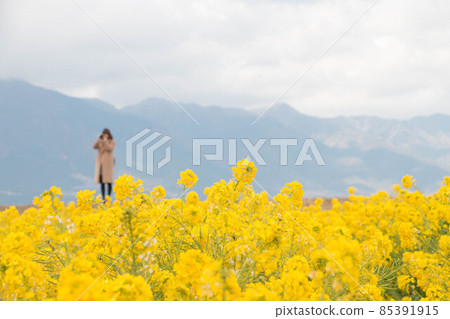 一個拿著油菜花和相機的人 一個拿著油菜花和相機的人 85391915