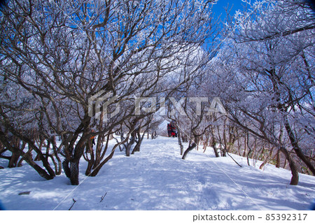森林上空的雪景 森林上空的雪景 85392317