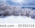 斯諾伊雪景 85392318