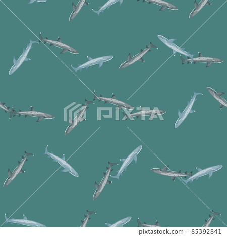Reef shark seamless pattern in scandinavian style. Marine animals background. Vector illustration for children funny textile. Reef shark seamless pattern in scandinavian style. Marine animals background. Vector illustration for children funny textile. 85392841