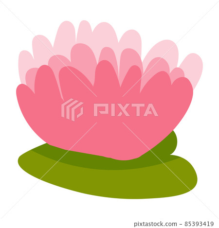 Water lily in cartoon style isolated on white background, pond flora, rural lifestile concept Water lily in cartoon style isolated on white background, pond flora, rural lifestile concept 85393419