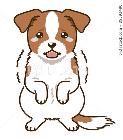 Frightened Jack Russell Terrier (White & Tan) 85393490