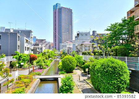 古芝水上樂園/井塔俯瞰深川地區（東京都江東區）[2021.4] 85393582