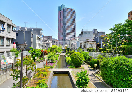 Furuishiba Water Park / Well Tower Overlooking the Fukagawa area (Koto-ku, Tokyo) [2021.4] 85393583