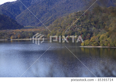 Lake Chuzenji (autumn leaves) 85393714