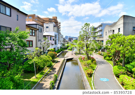 Overlooking Furuishibagawa Water Park (Koto-ku, Tokyo) [2021.4] 85393728