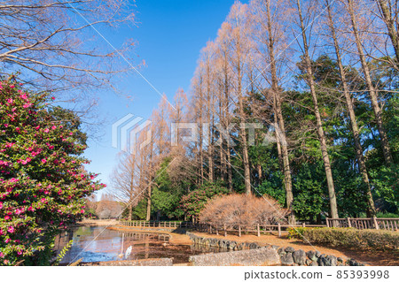 冬季莊內綠地公園 <愛知縣名古屋市> 85393998