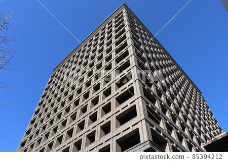 Prefectural Hall (Hirakawacho, Chiyoda-ku) 85394212