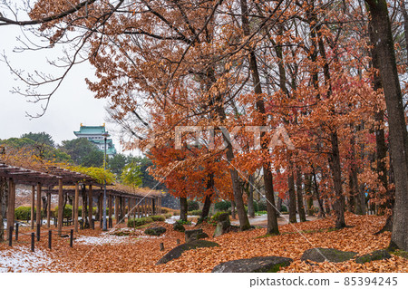 Meijo Park, Snow Nagoya Castle <Nagoya City, Aichi Prefecture> 85394245