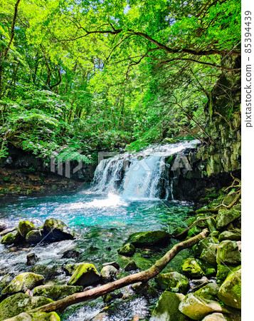 Tateshina Otaki (Summer) Tateshina Otaki (Summer) 85394439