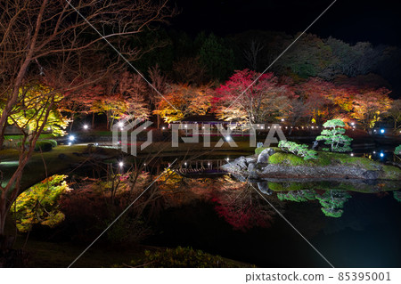靜岡縣伊豆市修善寺彩虹鎮，燈火通明的秋葉，倒影 85395001