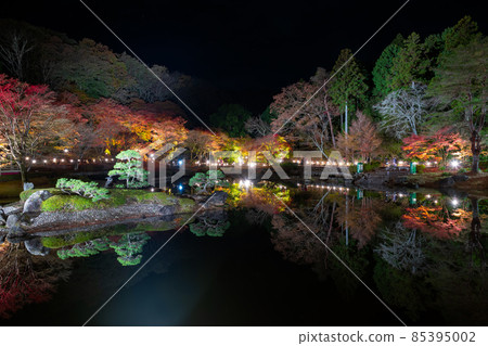 Shuzenji, Izu City, Shizuoka Prefecture, Rainbow Town, Illuminated Autumn Leaves, Reflection Shuzenji, Izu City, Shizuoka Prefecture, Rainbow Town, Illuminated Autumn Leaves, Reflection 85395002