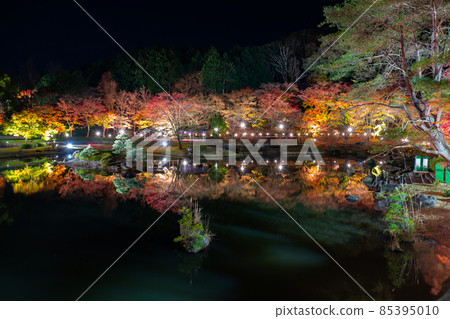 Shuzenji, Izu City, Shizuoka Prefecture, Rainbow Town, Illuminated Autumn Leaves, Reflection 85395010