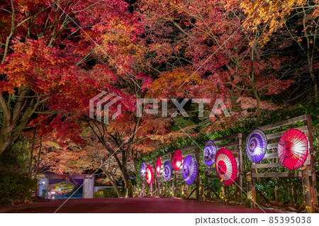 Shuzenji, Izu City, Shizuoka Prefecture, Rainbow Town, Illuminated Autumn Leaves 85395038