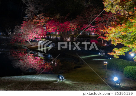 靜岡縣伊豆市修善寺彩虹鎮，燈火通明的秋葉，倒影 85395159