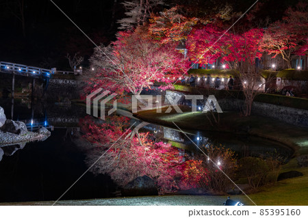 Shuzenji, Izu City, Shizuoka Prefecture, Rainbow Town, Illuminated Autumn Leaves, Reflection Shuzenji, Izu City, Shizuoka Prefecture, Rainbow Town, Illuminated Autumn Leaves, Reflection 85395160
