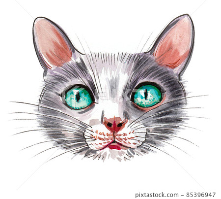 Cute cat with green eyes. Ink and watercolour drawing 85396947