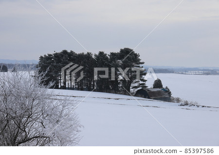 Scenery with a farm in the Ishikari region of Hokkaido Scenery with a farm in the Ishikari region of Hokkaido 85397586