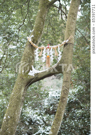 結婚好 結婚好 85397711