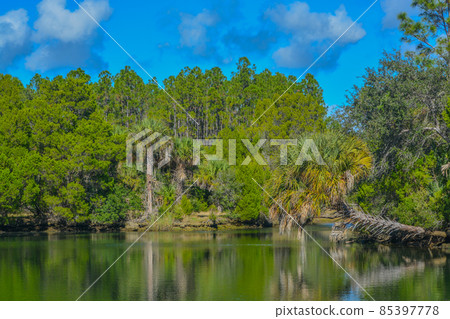 Crystal River has natural springs feeding it. Crystal River Preserve State Park is in Citrus County, Florida Crystal River has natural springs feeding it. Crystal River Preserve State Park is in Citrus County, Florida 85397778